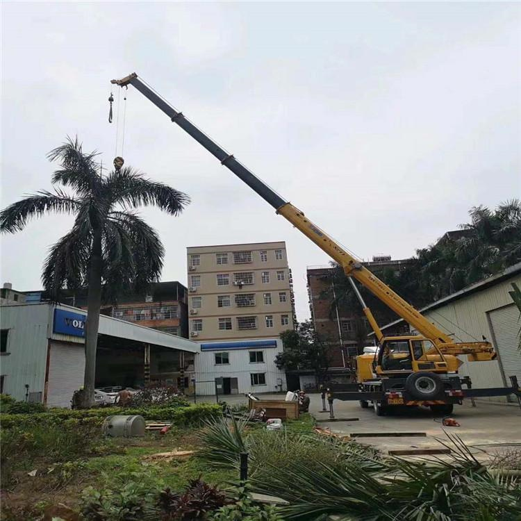 港口树木移栽装卸